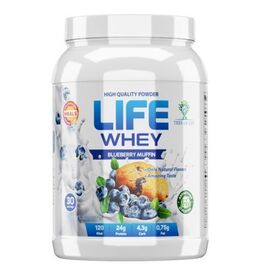  Протеин LIFE Protein (США) (черничный маффин) (30 порц/907 гр) 