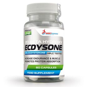  Экдистерон от WestPharm - Ecdysone (30 порц/60 капс) 