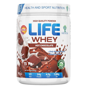  Протеин от LIFE (USA) Whey (шоколад) (15 порц/500 гр) 